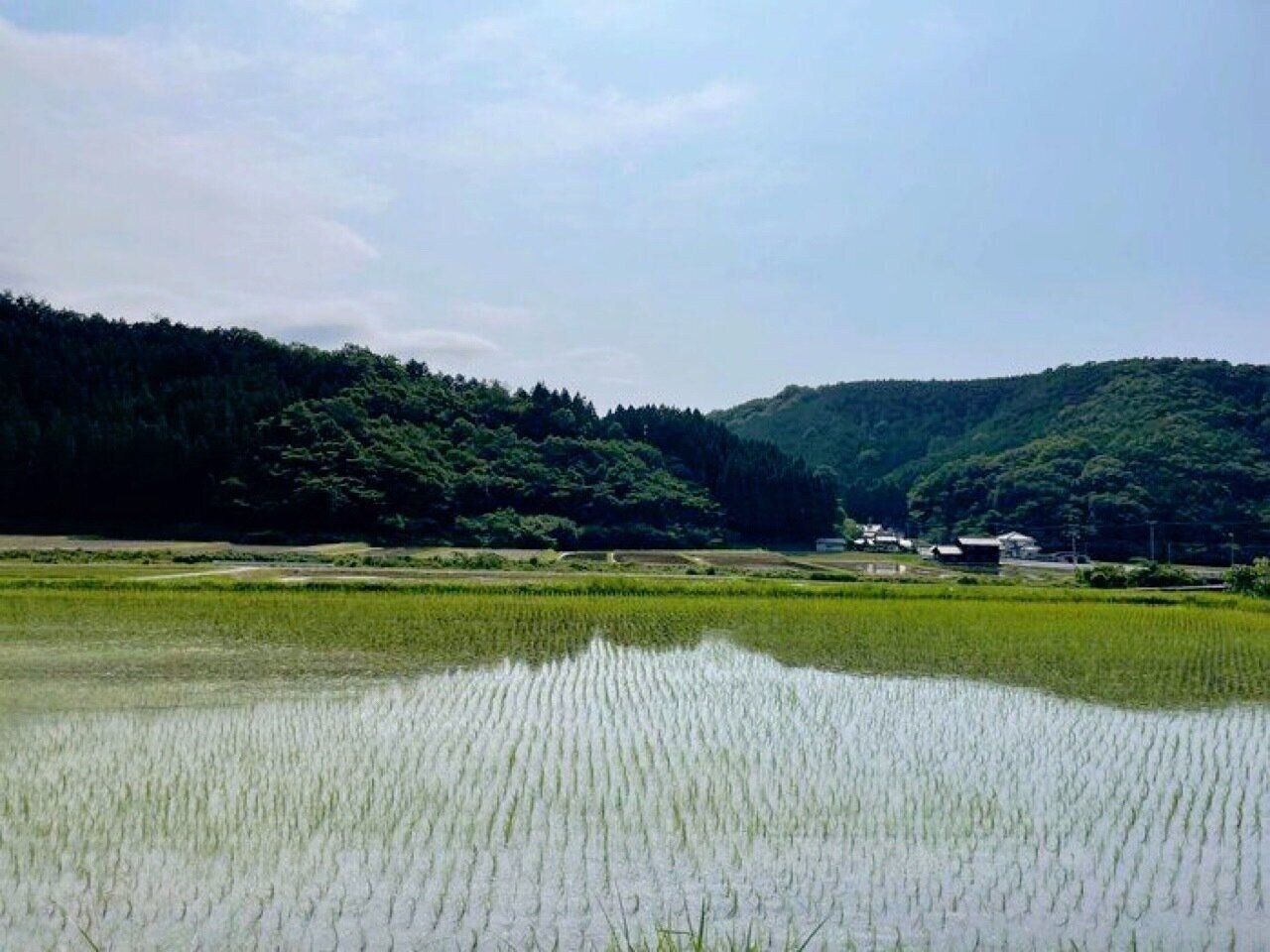 【田舎暮らし3年目】田舎でフリーランスってどうなの？あえて言いたいデメリット3選