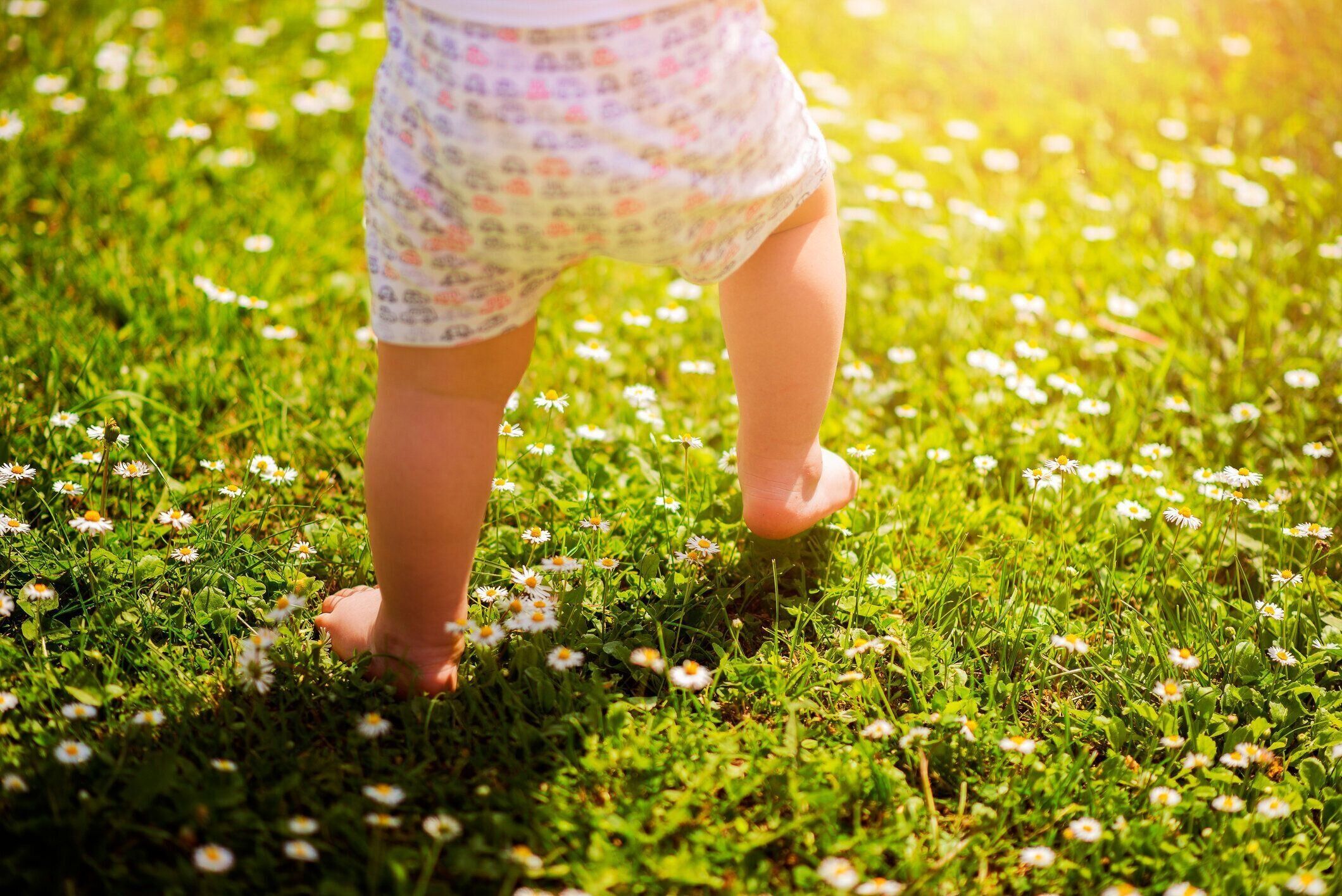 最初のステップ 