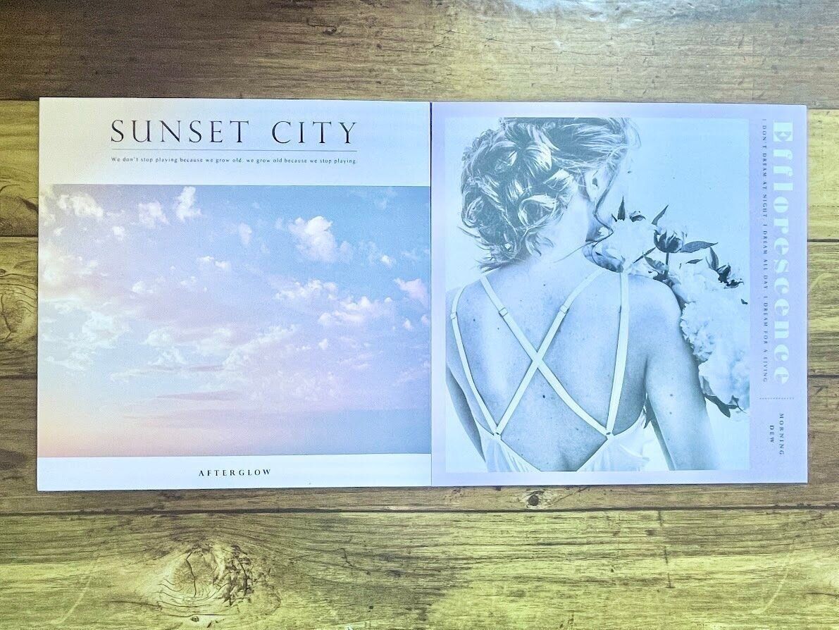 セリア「フェイクレコード」のジャケット