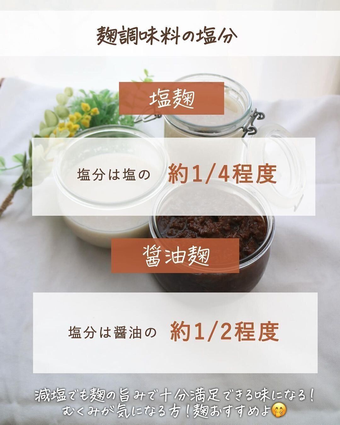 塩分は塩の1/4程度