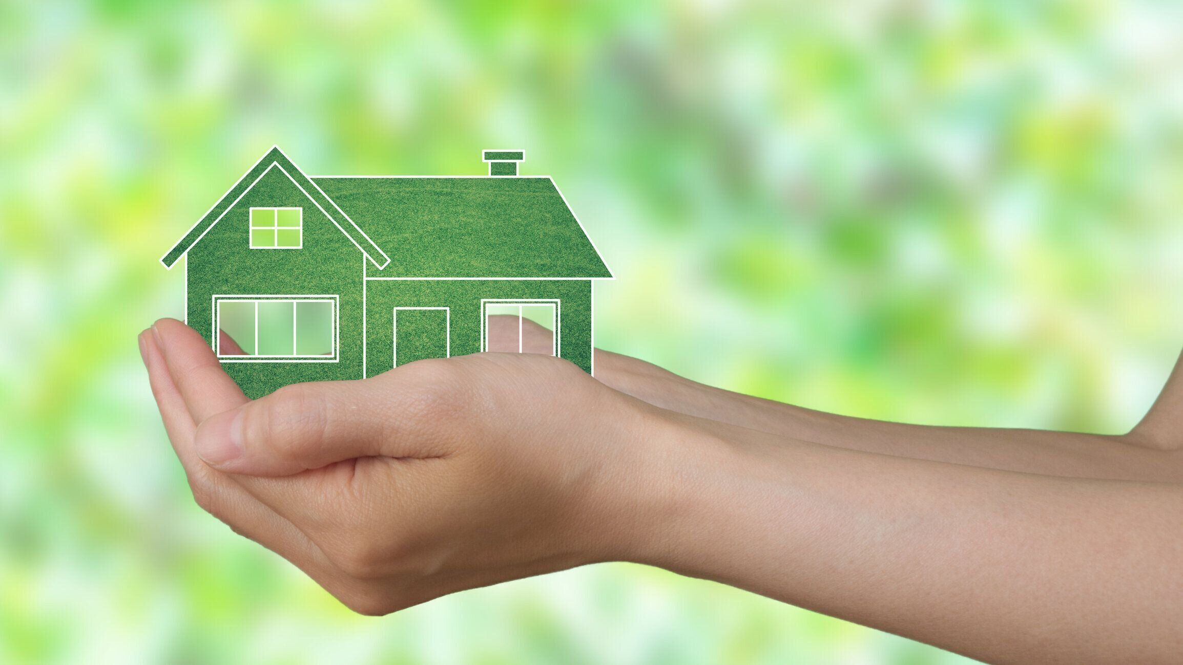 女性の手がエコ温室を握っています。背景にぼやけた緑の葉