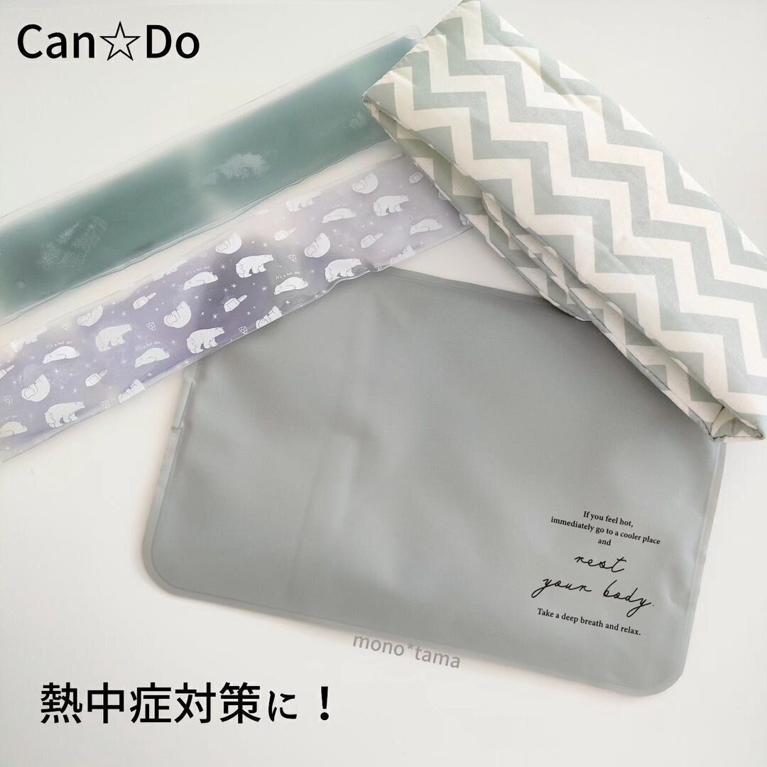 話題のキャンドゥ新商品！「保冷剤ピロー」