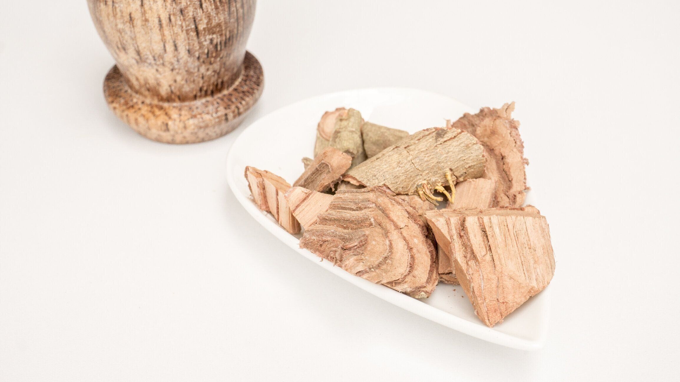 サラシア網状アーユルヴェーダ医学