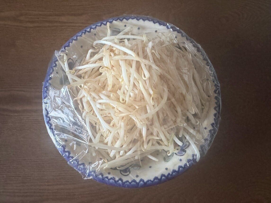 チンする前のもやし