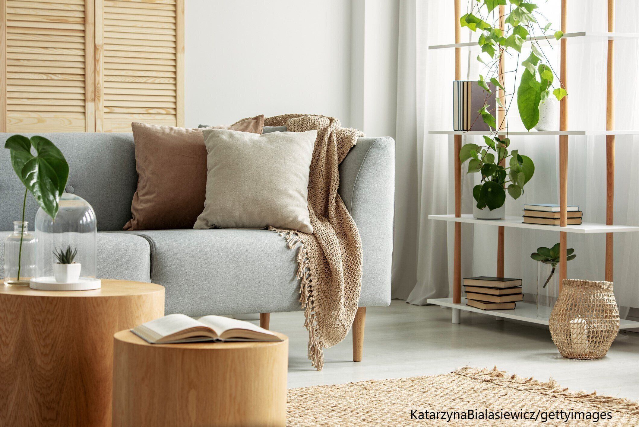 観葉植物　インテリア　育て方