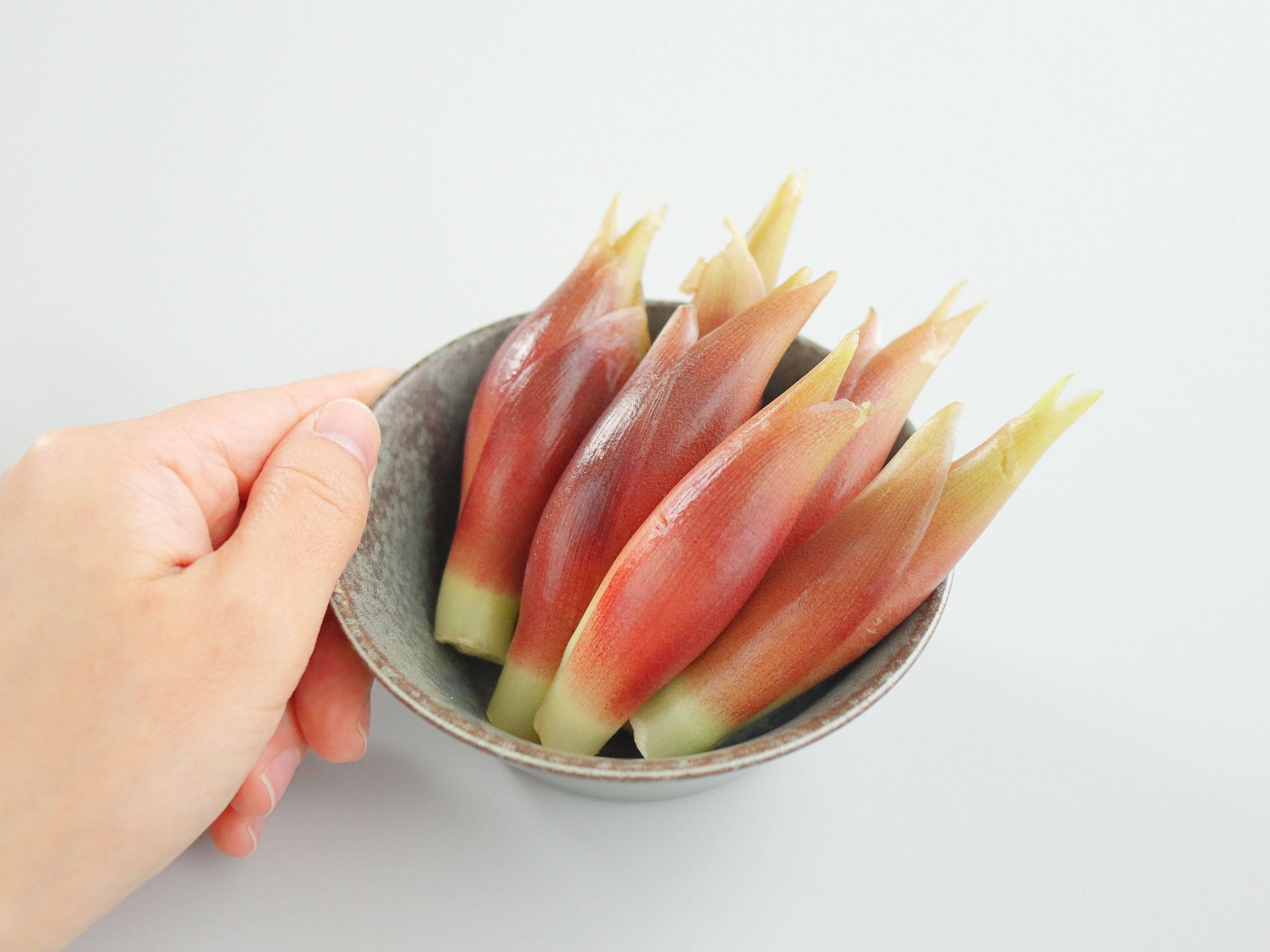 みょうがの旬は初夏〜秋