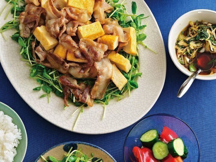 豚バラ肉と厚揚げの炒めもの しそだれがけ