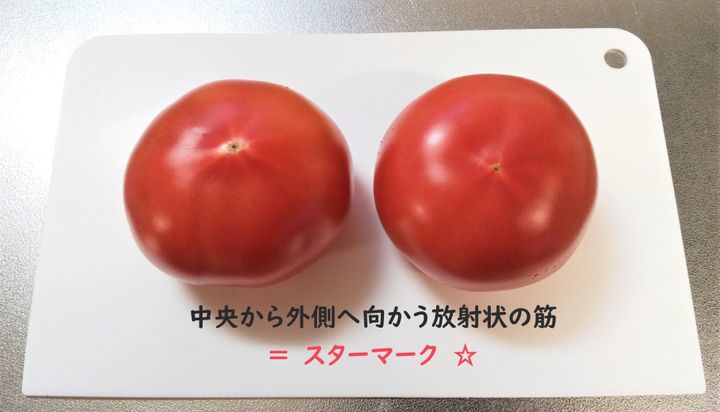 トマトの切り方で料理の腕が変わる 切り方別おすすめ料理とは サンキュ トマトの切り方で料理の腕が変わる 切り方別おすすめ料理とは サンキュ