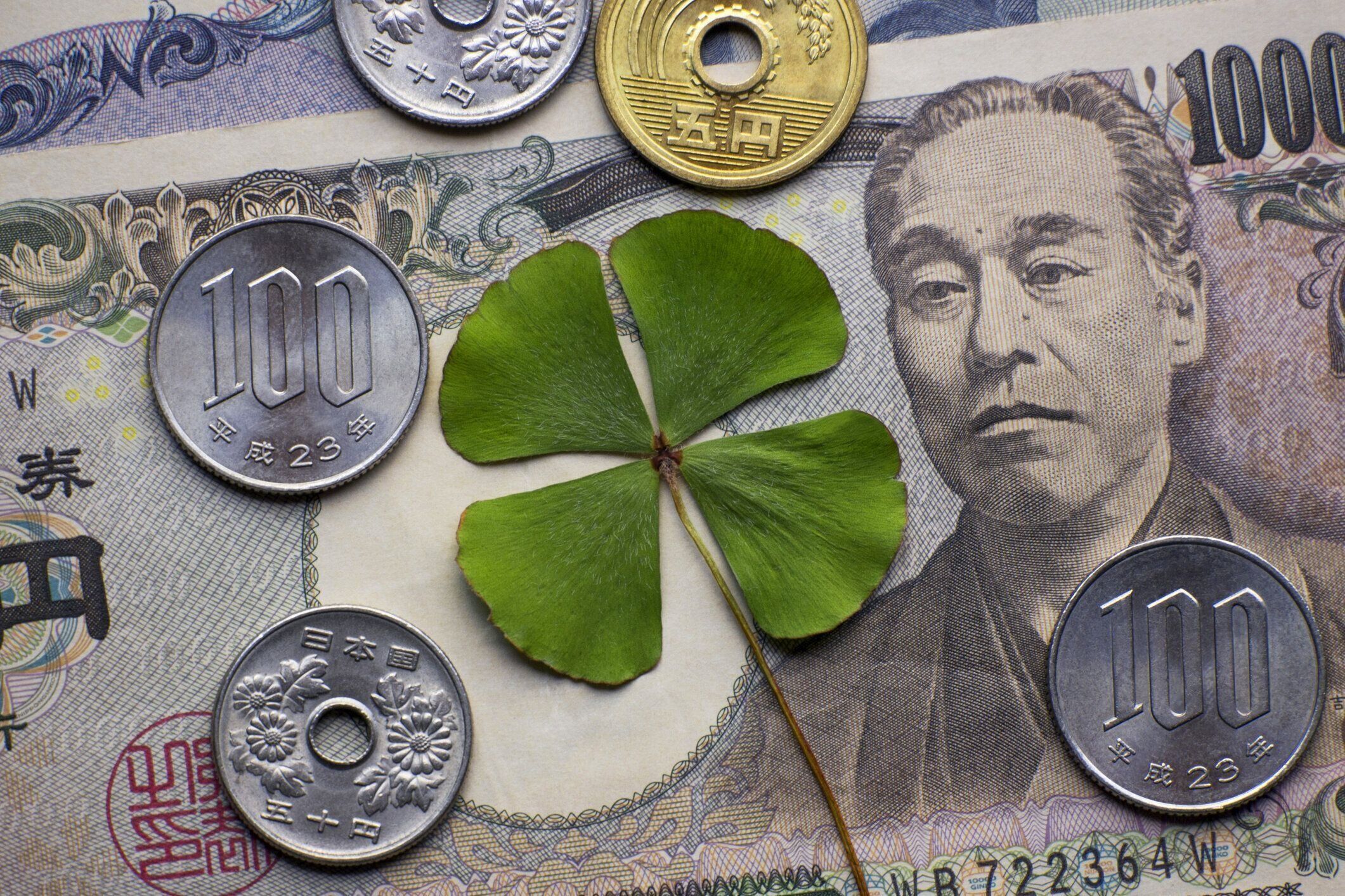 四つ葉のクローバー