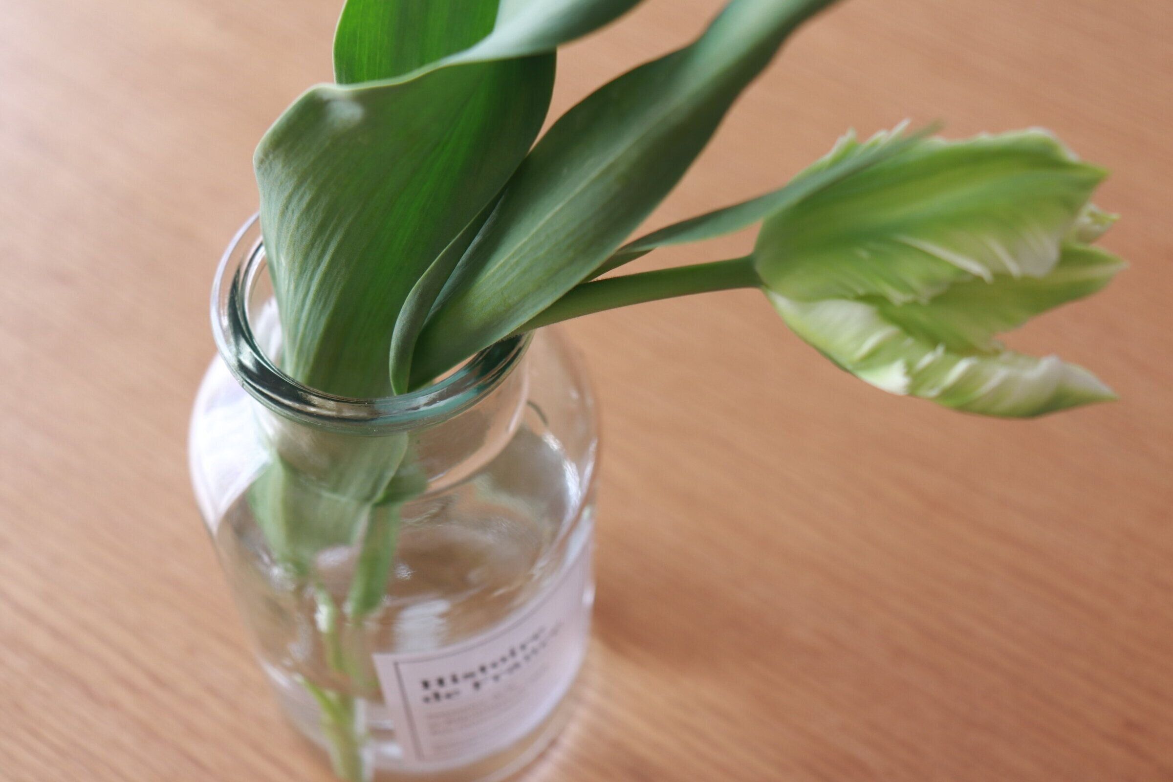 ダイソーグッズで作る！春気分インテリア