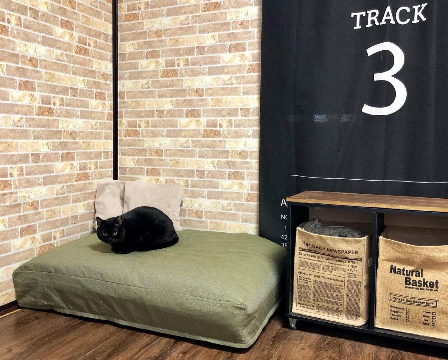 ソファ代わりにして出しっぱなしもOK！