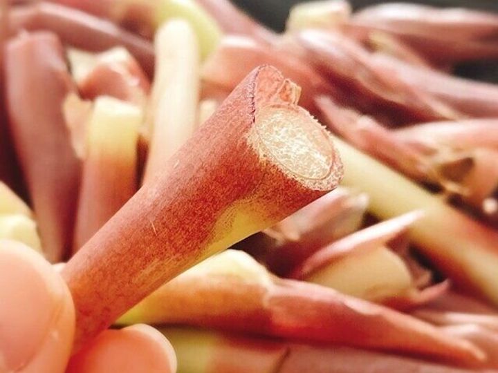 見つけたら即買い みょうがの茎 はsdgsにもつながる超お得食材 サンキュ 見つけたら即買い みょうがの茎 はsdgsにもつながる超お得食材 サンキュ