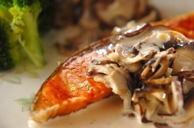 鮭のソテーキノコソース