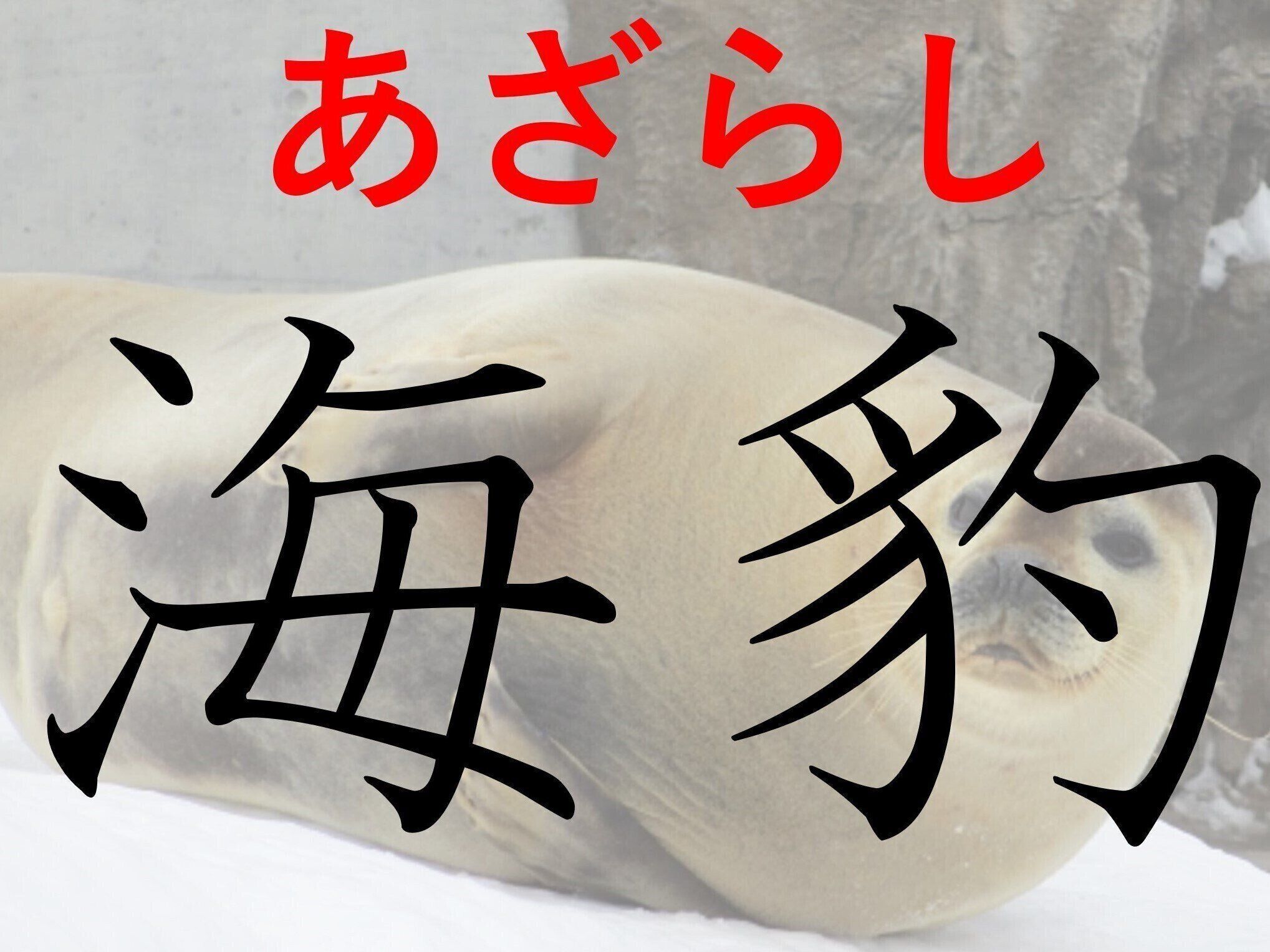 陸ではおとなしそうに見えるけど……？難読漢字「海豹」はなんて読む？