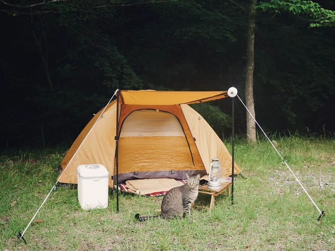 【ワークマン】お手頃価格で気軽にキャンプ！