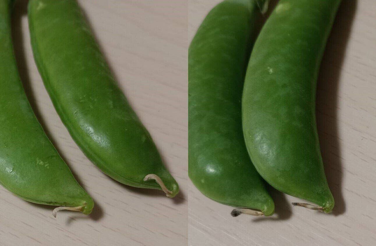 スナップエンドウのひげ