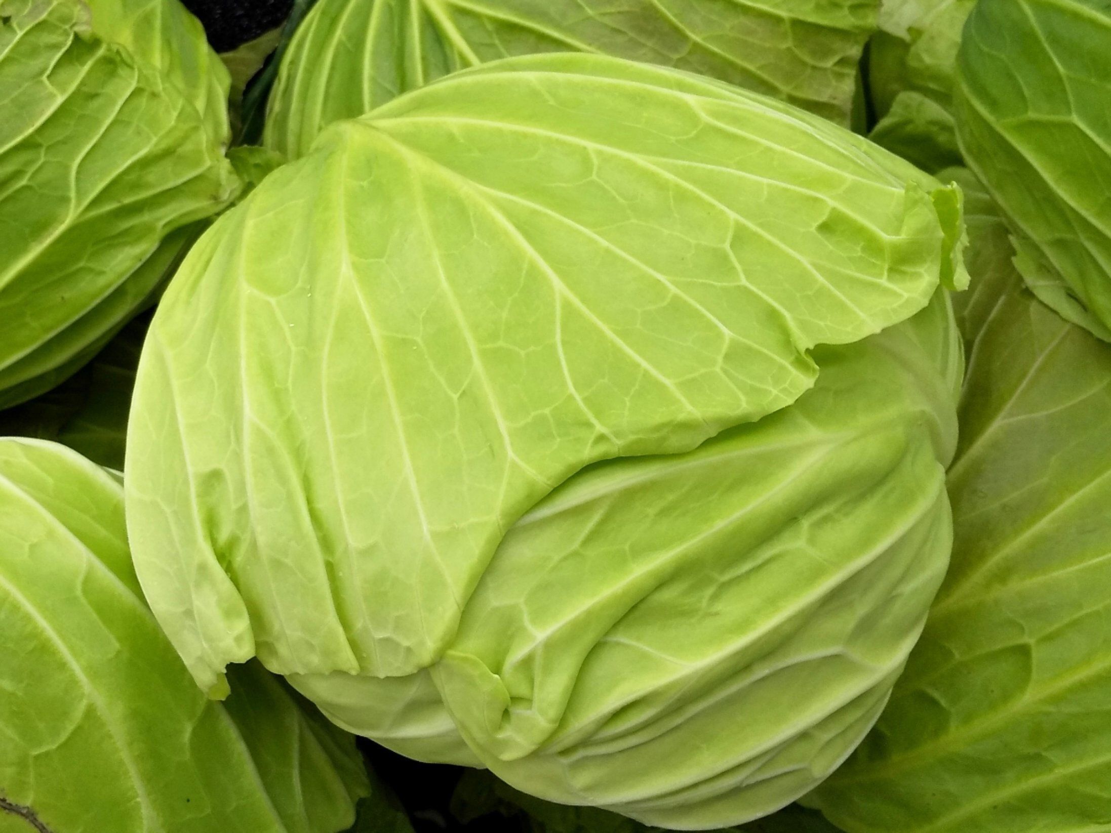 おいしいキャベツの見分け方は季節で違うって知ってた 失敗しないキャベツの選び方 買い方 サンキュ