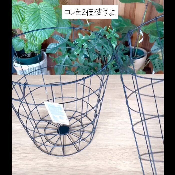 【ダイソー】乗せるだけでOK！ワイヤーバスケット花台