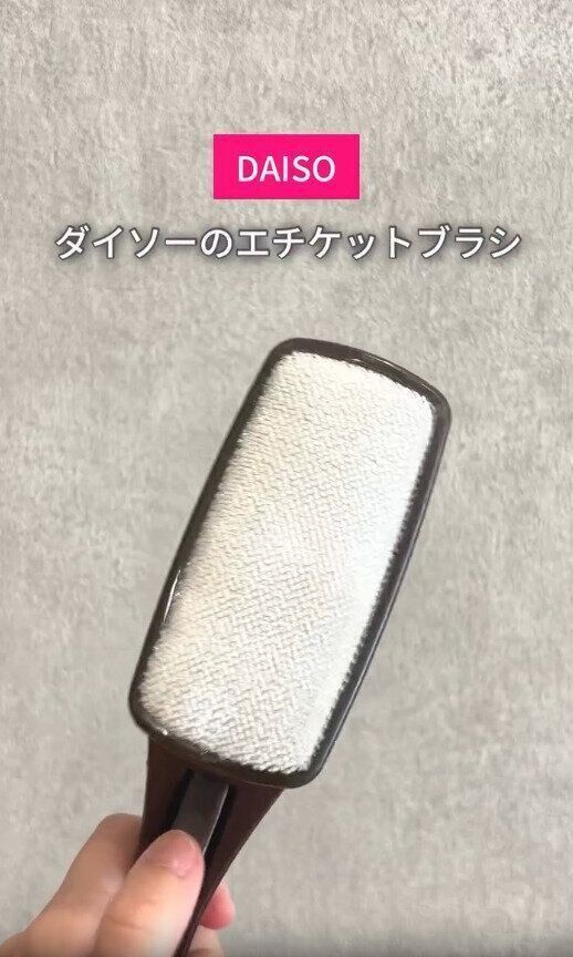 【ダイソー】コスパ最強！エチケットブラシのじゃない使い方