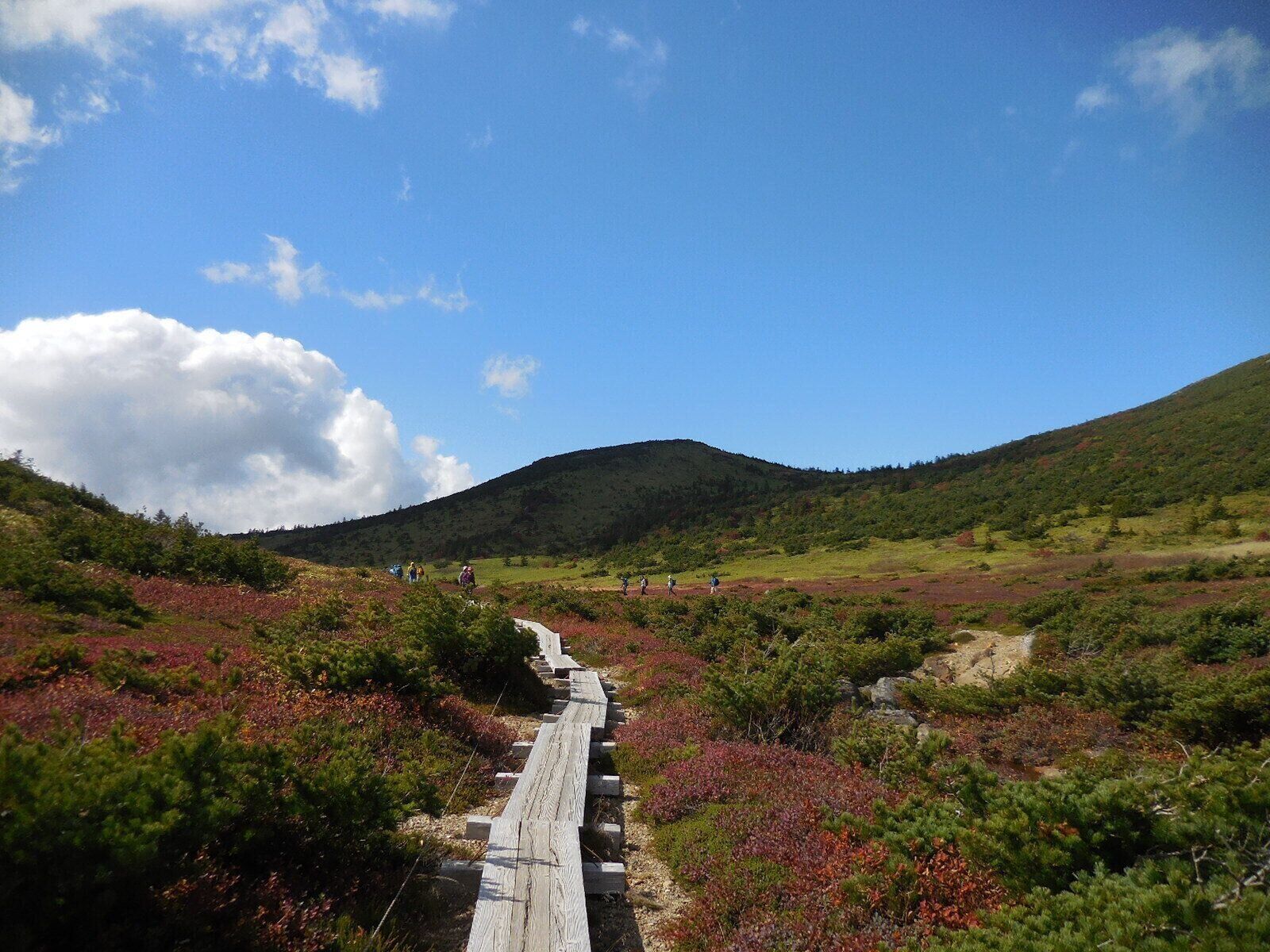 福島県の浄土平の草紅葉