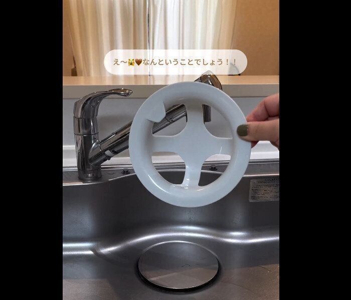 【ダイソー】110円でコスパいい！洗いやすいネットホルダー