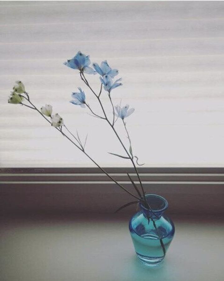 お花lifeスタートのお供に セリアの花瓶 活用術 サンキュ お花lifeスタートのお供に セリアの花瓶 活用術 サンキュ