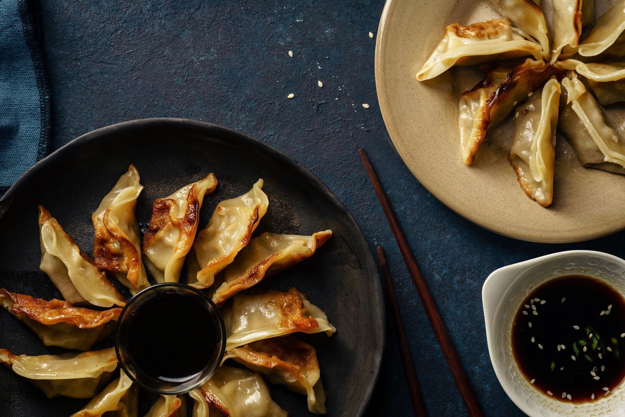 鴨と焼き餃子は醤油とゴマを添えてください。コンクリート紺地