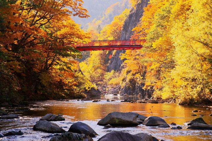 高級ウイスキーが生まれる日本