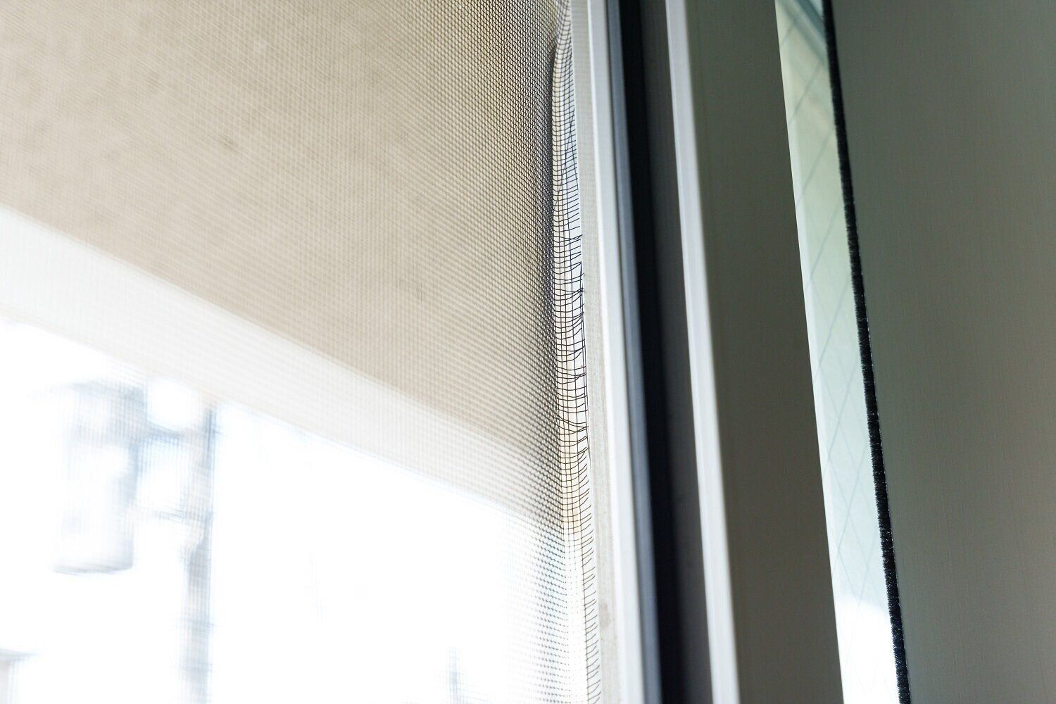 来年の春に出遭わないために…秋のゴキブリ対策がモノを言う！