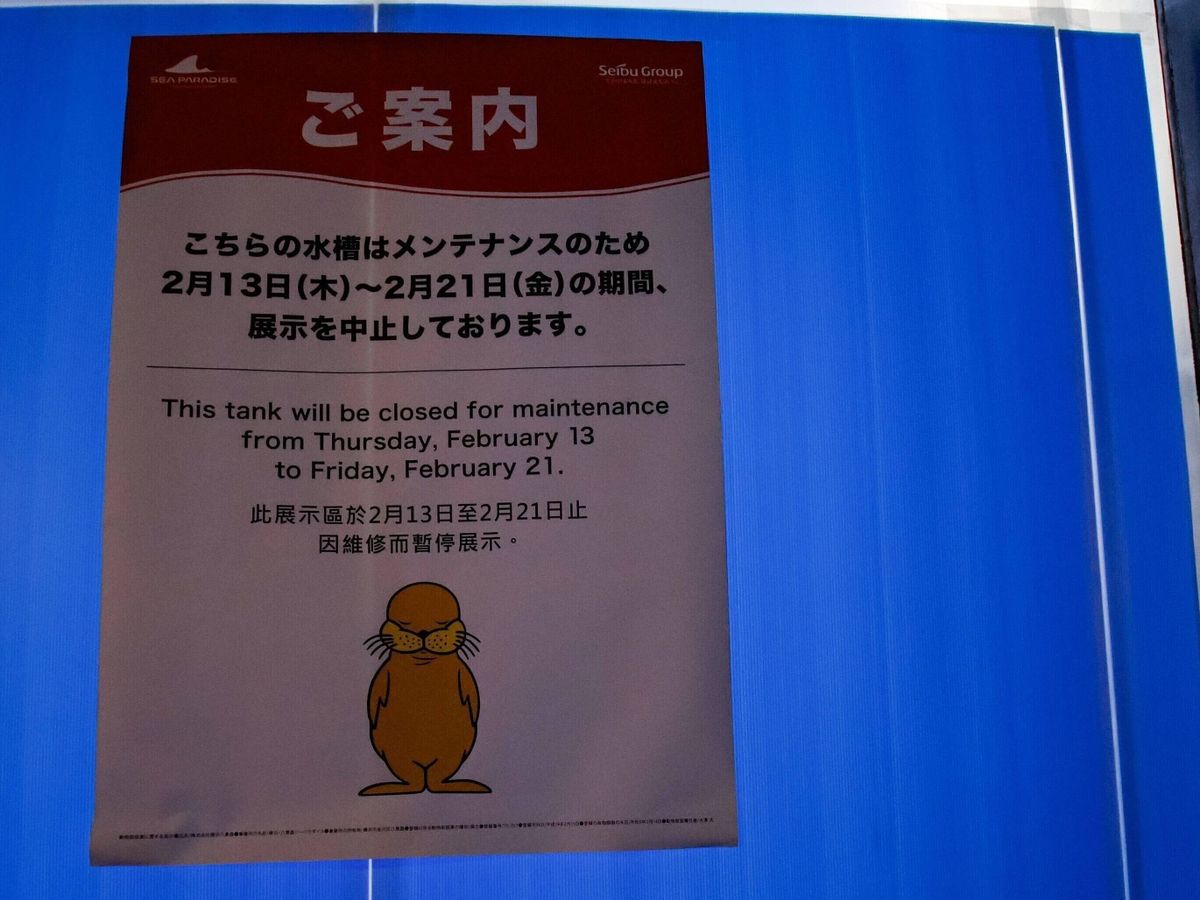「何の水槽?」答え合わせはシルエットで。目隠しされた水槽に現れた影がかわいすぎて16万いいね
