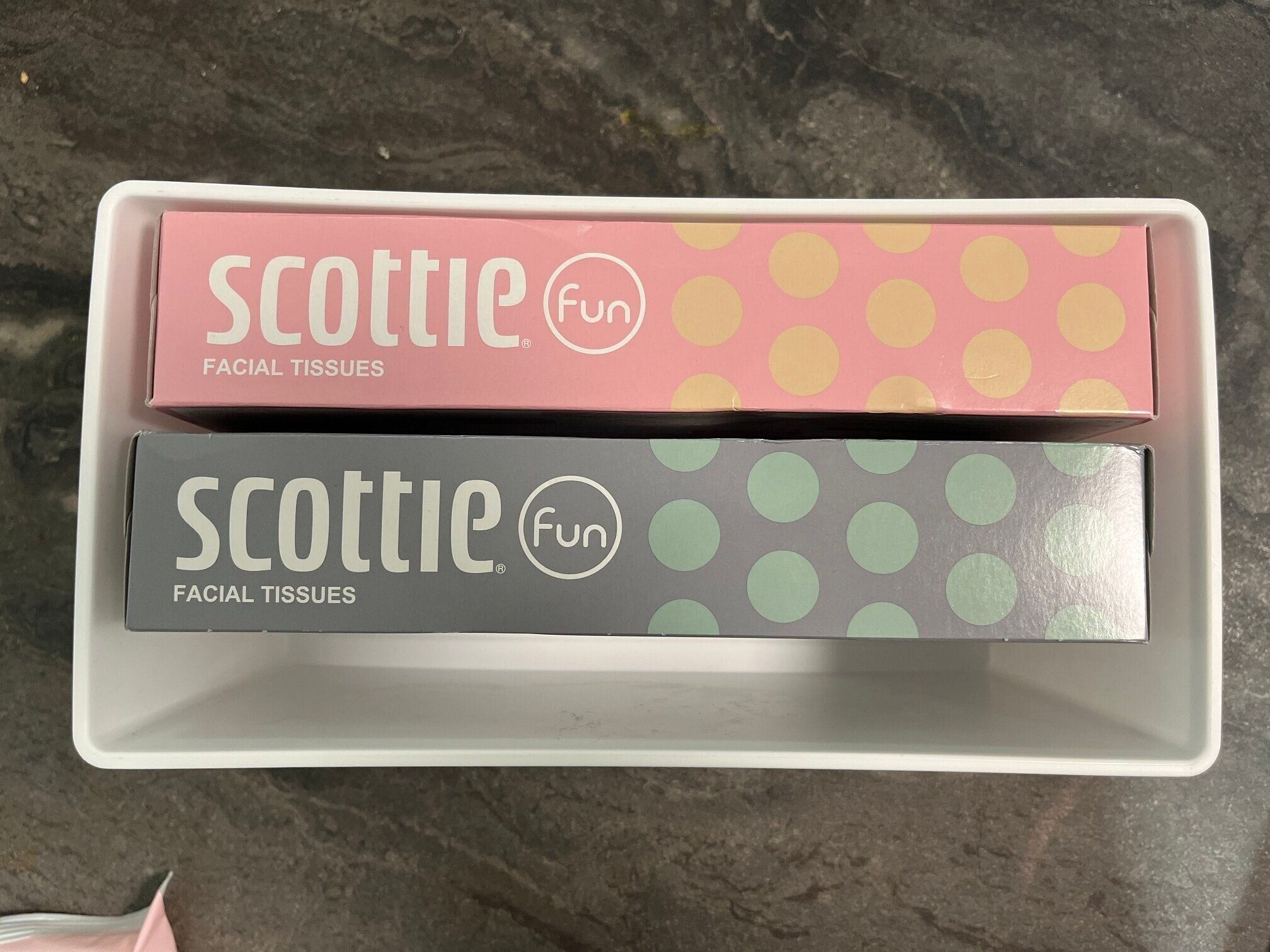 セリアで見つけたら即買って！整理収納のプロおすすめ収納ボックス