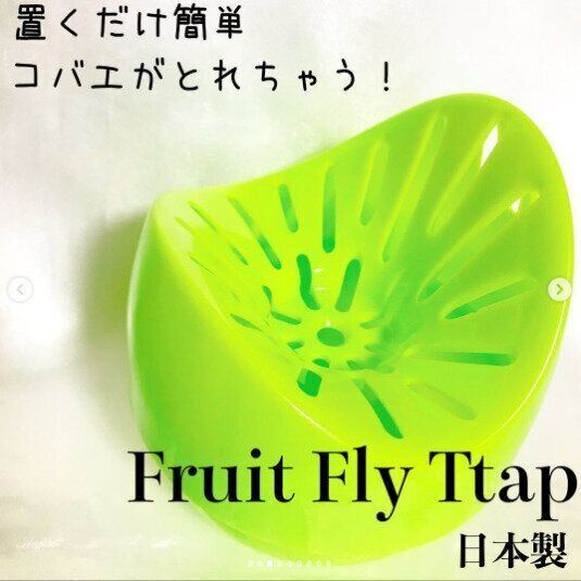 【ダイソー】コバエをしっかりキャッチ！