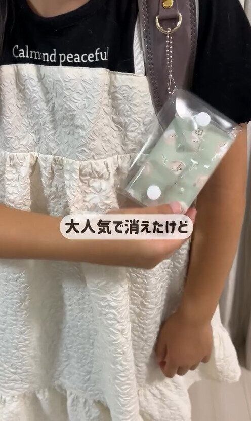 SNSでもバズってる！「ミニポケットティッシュケース」