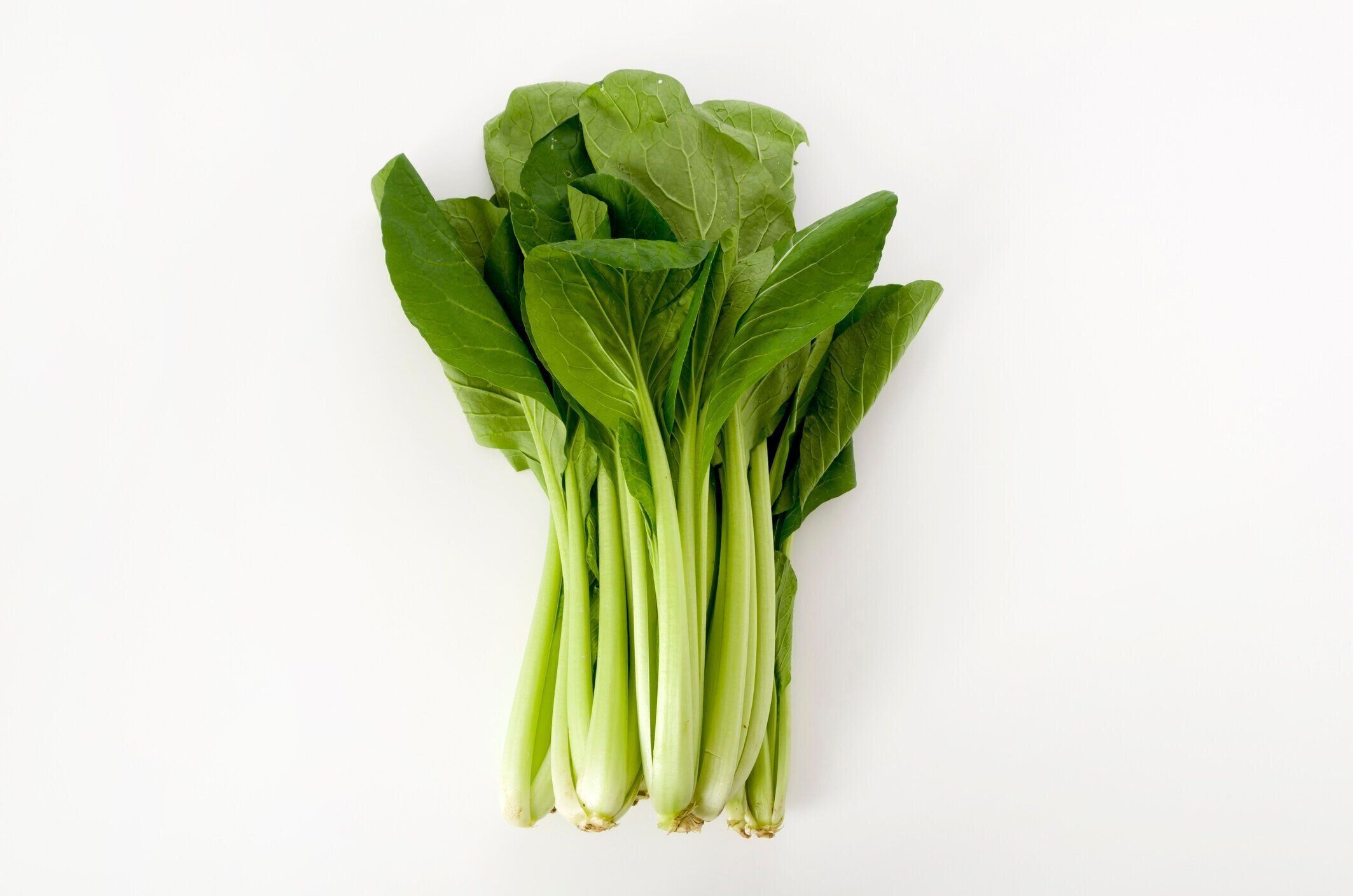 小松菜、マスタードほうれん草