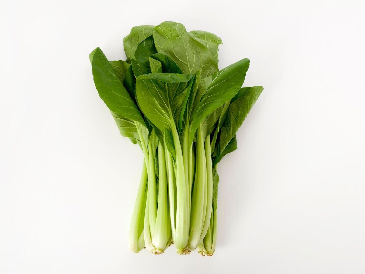 小松菜、マスタードほうれん草