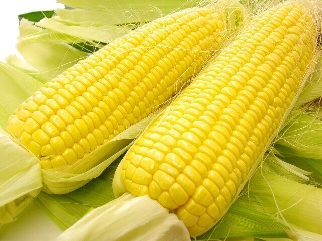 とうもろこし