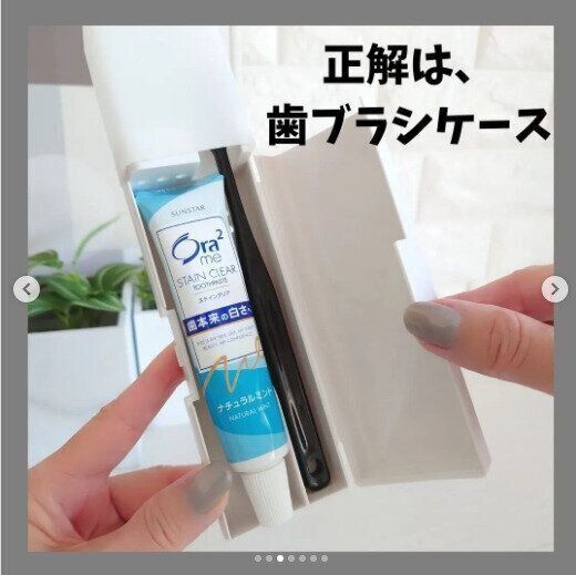 【セリア】正解は歯ブラシ専用ケースなんです
