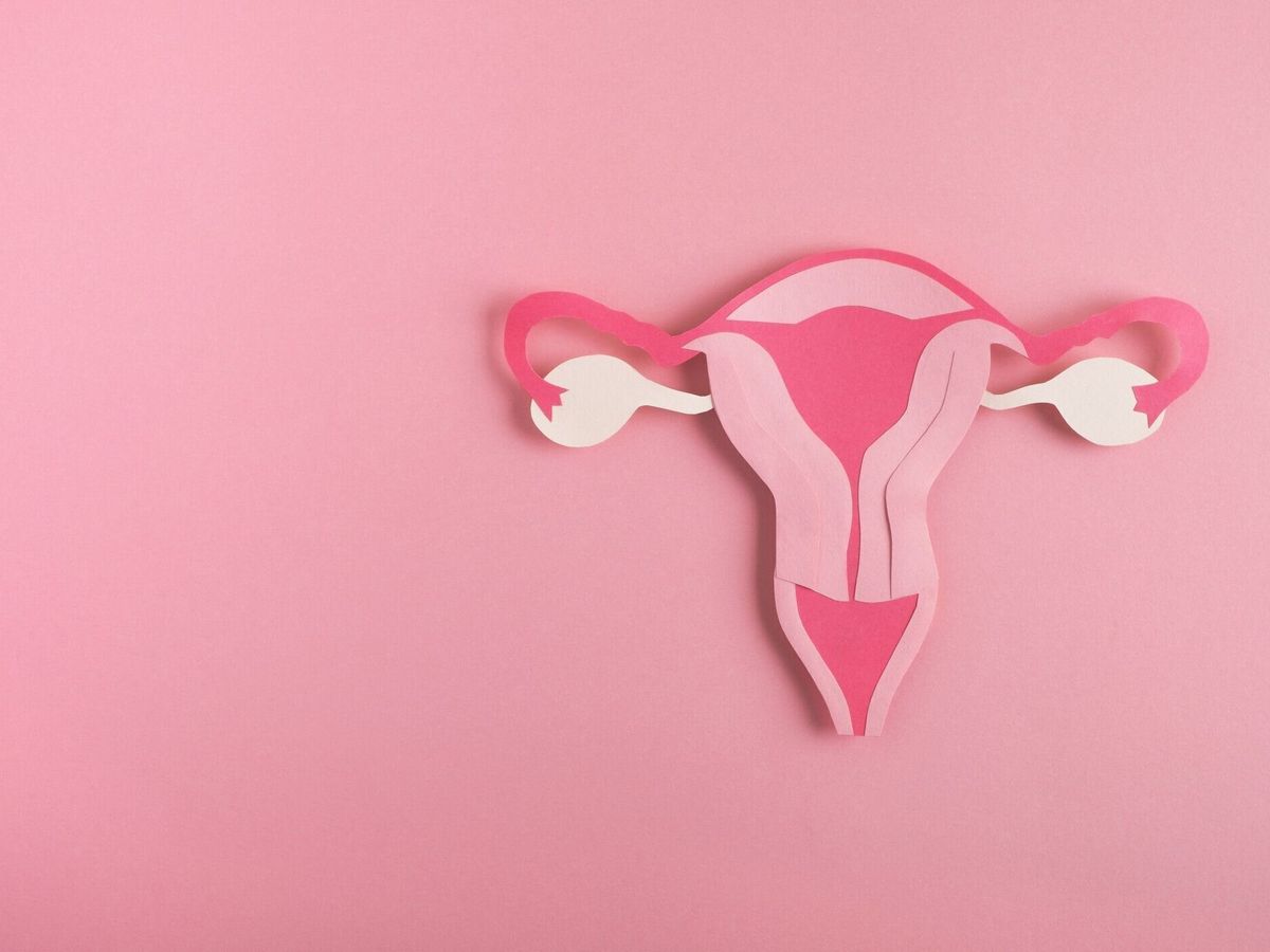 女性の健康、生殖器系の概念。