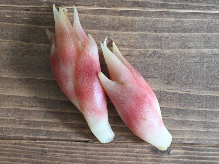 薬味だけじゃない みょうがを主役に格上げ みょうがの簡単レシピ2選 サンキュ 薬味だけじゃない みょうがを主役に格上げ みょうがの簡単レシピ2選 サンキュ