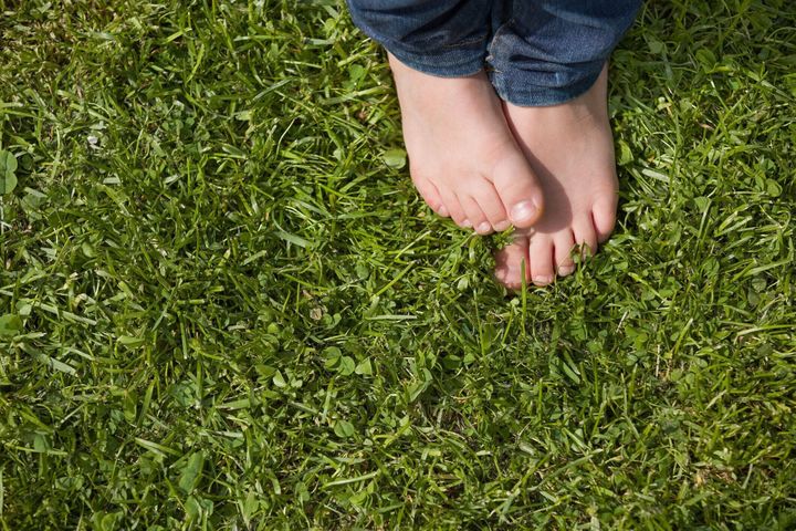 緑の芝生の上の子供の素足に平面図です。晴れた日に公園の芝生の上に立っている小さな男の子。子供の素足。
