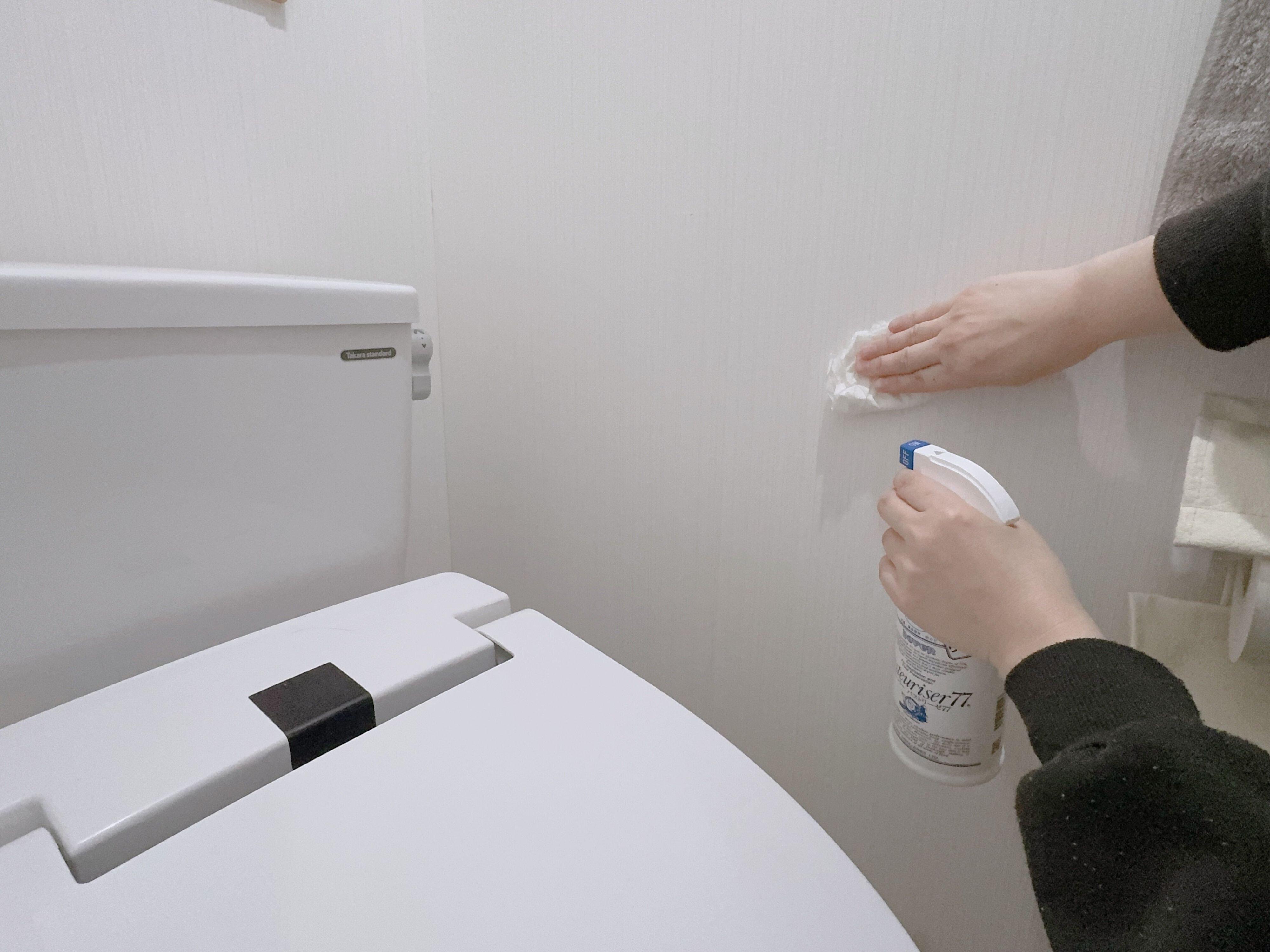 トイレついでに1箇所だけ掃除をする