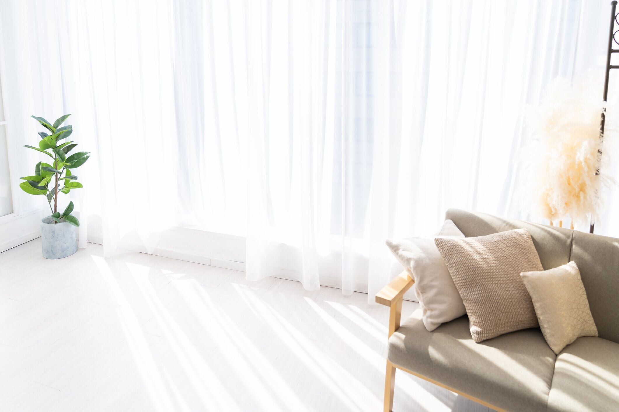 モダンなリビングルームのインテリア