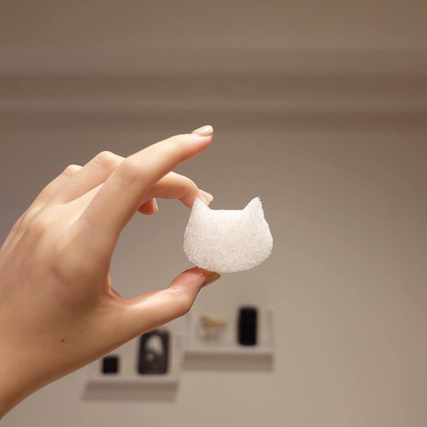 【セリア】かわいいネコ型で気分をあげてお掃除！