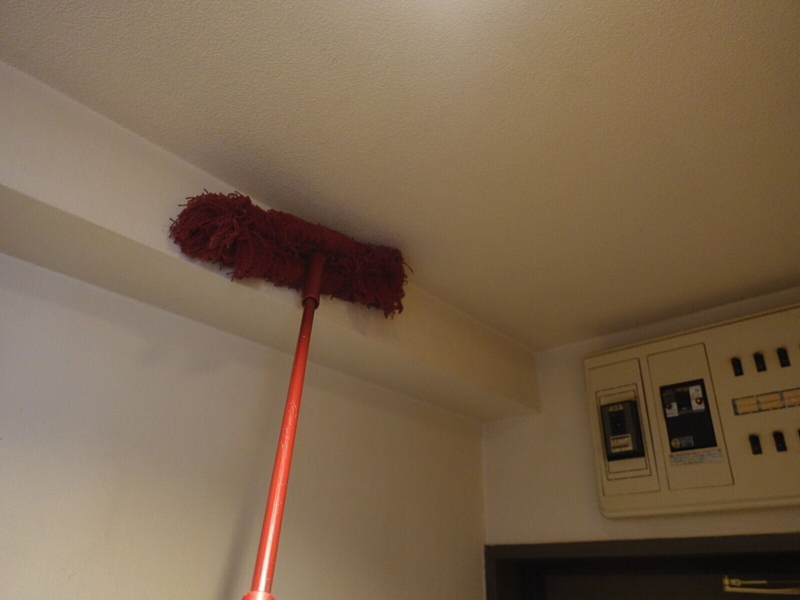 暖冬は大掃除に有利？2023年の大掃除、どこから始めて、どこで終わるかを掃除のプロに聞いた