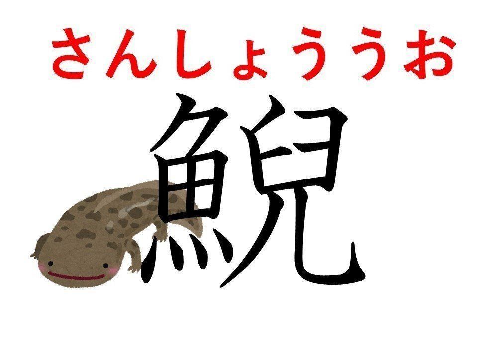 知っていると自慢できる 難読漢字クイズ 鯢 はなんて読む サンキュ