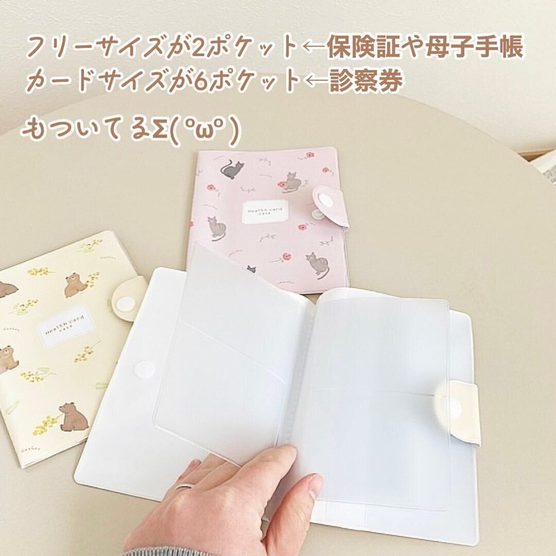 【セリア】すっきり収納でいざという時もさっと持ち出せる