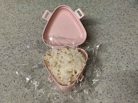 ごはんをケースの中へ