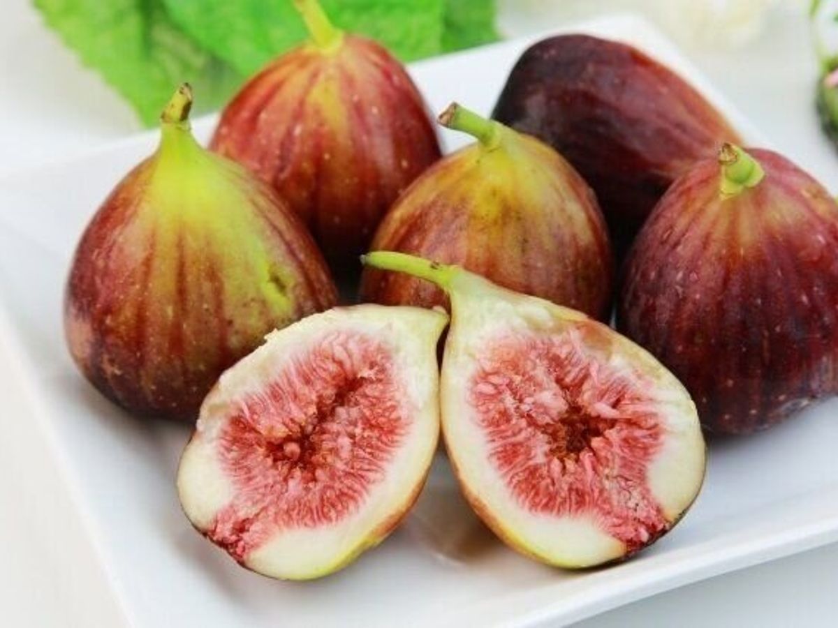 更年期 イチジク