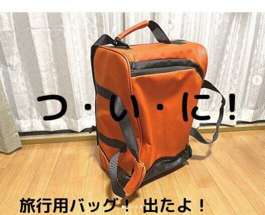 【ワークマン】キャンプ場にキャリーバッグ！？