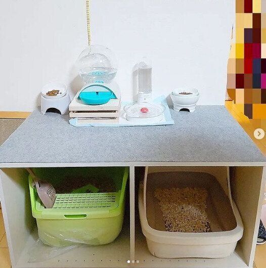 カラーボックス収納アイデア 0 活用したらこうなった 変幻自在のカラーボックス収納でお部屋がみるみる片づく サンキュ